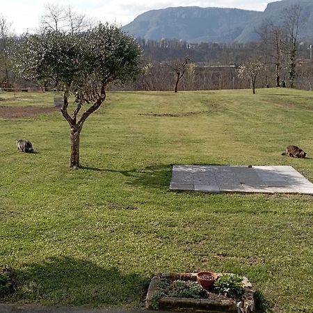 ברגה Affittacamere La Foresta Di Sopra מראה חיצוני תמונה