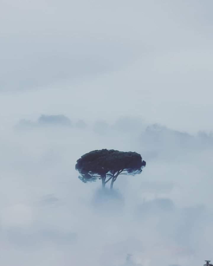 ברגה Affittacamere La Foresta Di Sopra מראה חיצוני תמונה