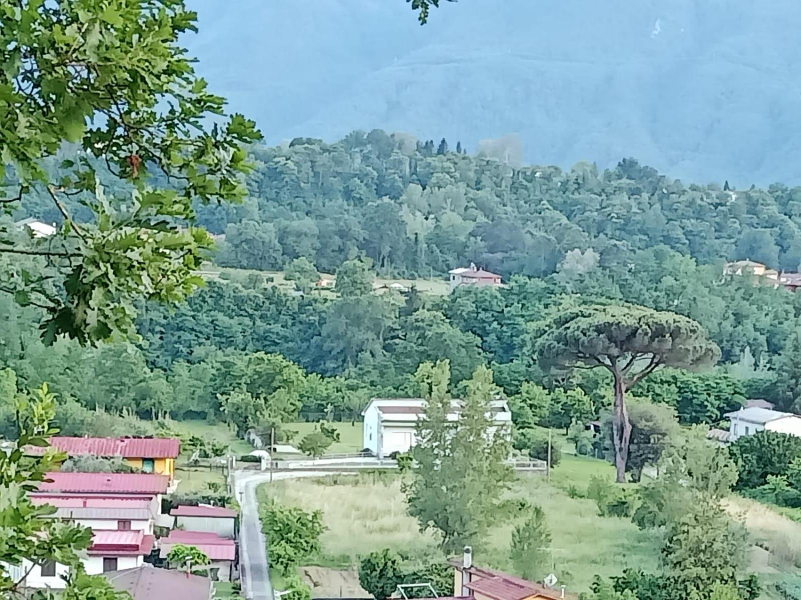 ברגה Affittacamere La Foresta Di Sopra מראה חיצוני תמונה