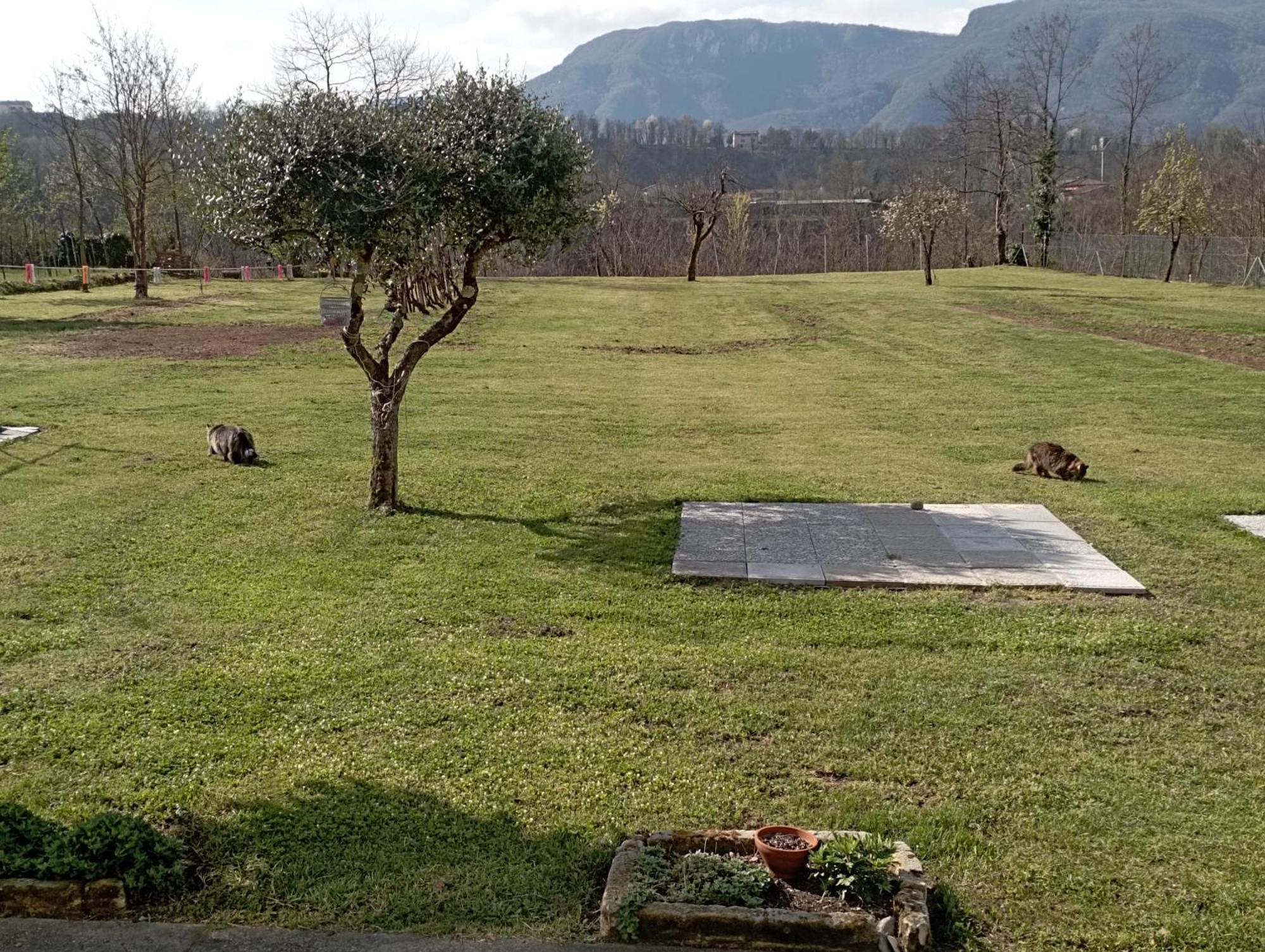 ברגה Affittacamere La Foresta Di Sopra מראה חיצוני תמונה